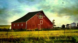 Red Iowa Barn