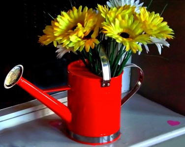 Red Watering Can Jigsaw Puzzle