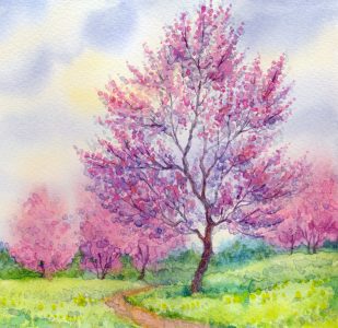 Redbuds Jigsaw Puzzle