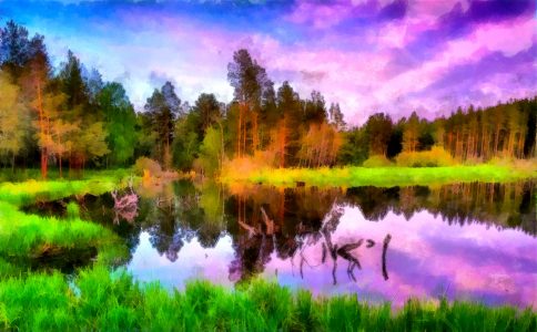 Reflected Color Jigsaw Puzzle