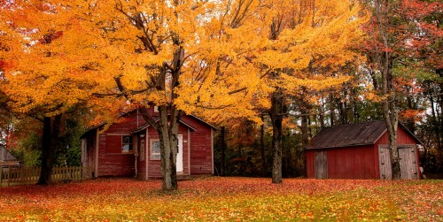 Remembering Autumn Jigsaw Puzzle