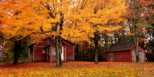 Remembering Autumn Jigsaw Puzzle