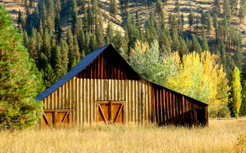 Repaired Barn Jigsaw Puzzle