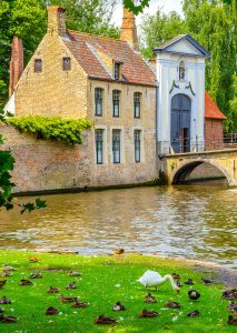 Resting Ducks Jigsaw Puzzle