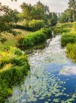 River Stour