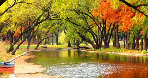 River Trees Jigsaw Puzzle