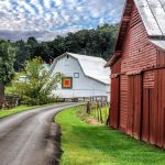 Road and Barns