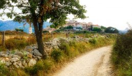 Road to Sant’Antonino