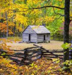 Roaring Fork Cabin