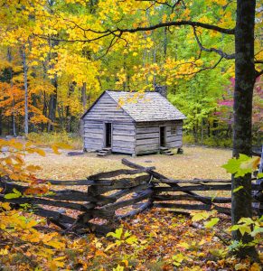 Roaring Fork Cabin Jigsaw Puzzle