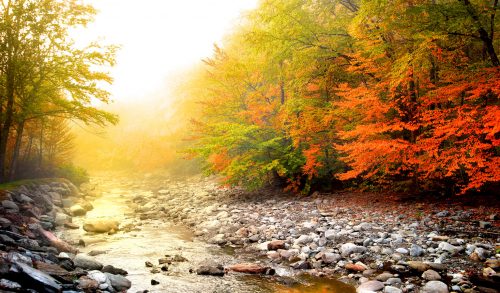 Rocky Stream Jigsaw Puzzle