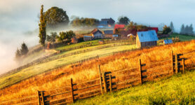 Romanian Farmland