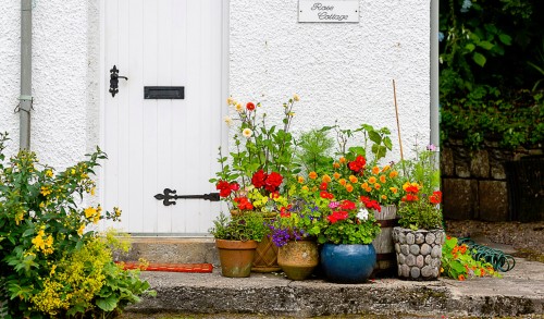 Rose Cottage Jigsaw Puzzle