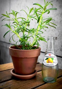 Rosemary and Lemonade Jigsaw Puzzle