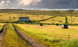 Round Bales