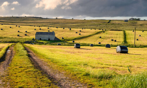 Round Bales Jigsaw Puzzle