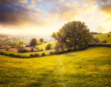 Rural Gloucestershire Jigsaw Puzzle