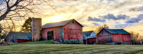 Rural Henrietta Jigsaw Puzzle