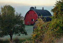 Rural Morning