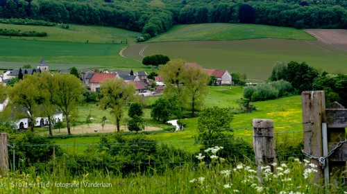 Rural Netherlands Jigsaw Puzzle