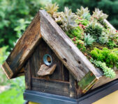 Rustic Birdhouse