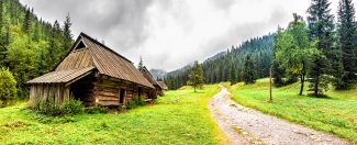 Rustic Cabins