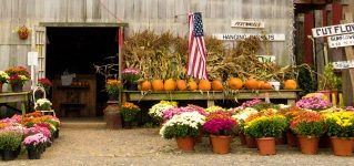 Rustic Flower Shop