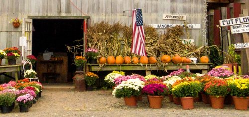 Rustic Flower Shop Jigsaw Puzzle