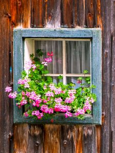 Rustic Window Jigsaw Puzzle