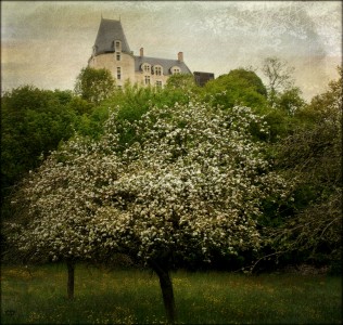 Sainte-Suzanne Castle Jigsaw Puzzle