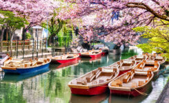 Sakura Canals