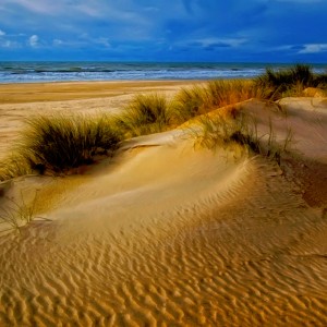 Sand Dune Jigsaw Puzzle