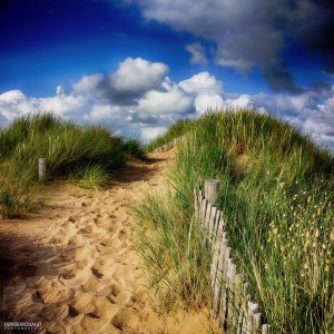 Sandy Knoll Jigsaw Puzzle