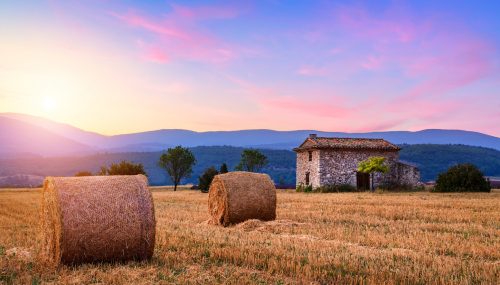 Sault Farm Jigsaw Puzzle