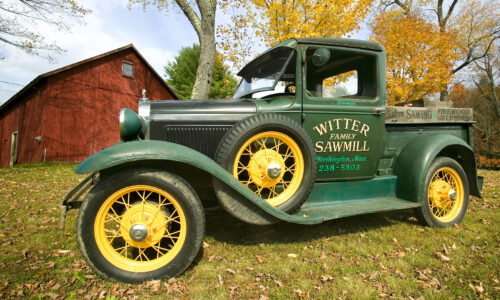 Sawmill Truck Jigsaw Puzzle