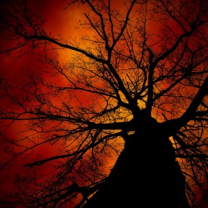 Scary Tree Jigsaw Puzzle