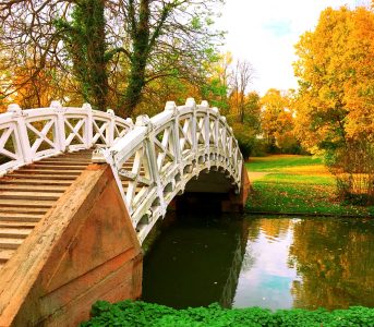 Schwetzingen Park Bridge Jigsaw Puzzle