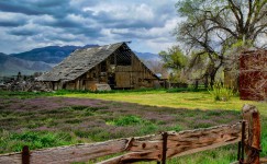 Scipio Barn