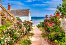 Seaside Cottage Path Jigsaw Puzzle