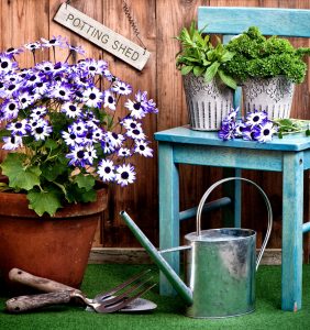 Senetti Flowers Jigsaw Puzzle