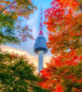 Seoul Tower Jigsaw Puzzle