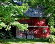 Shady Barn