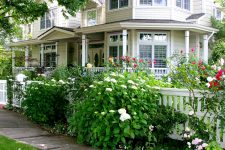 Shady Porch