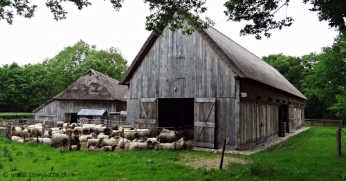 Sheep Barn Jigsaw Puzzle