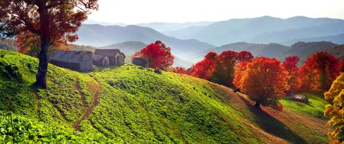 Sheep Pasture Jigsaw Puzzle