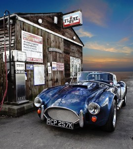 Shelby Jigsaw Puzzle