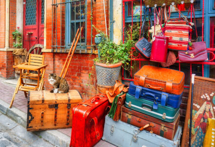 Shop Cat Jigsaw Puzzle