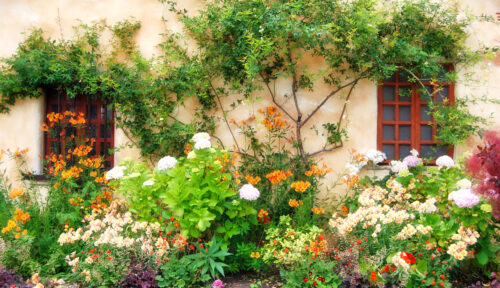 Side Garden Jigsaw Puzzle