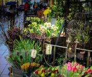 Sidewalk Flowers