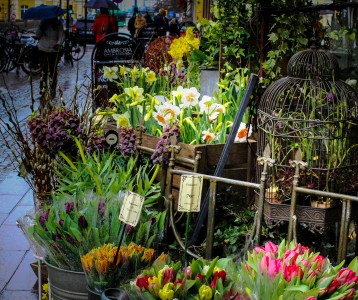 Sidewalk Flowers Jigsaw Puzzle